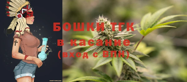 Альфа ПВП Горняк