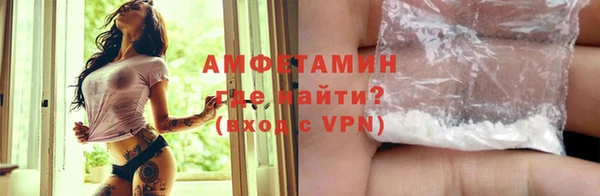 Альфа ПВП Горняк
