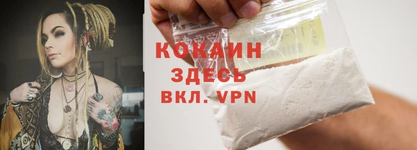 крисы Горно-Алтайск