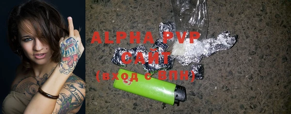 Альфа ПВП Горняк