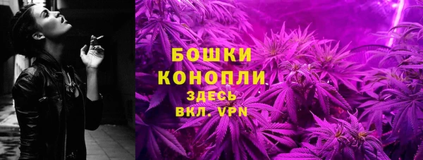 Альфа ПВП Горняк