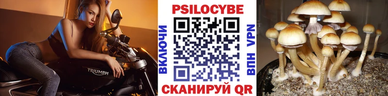 ссылка на мегу ссылки Мценск Галлюциногенные грибы MAGIC MUSHROOMS цена