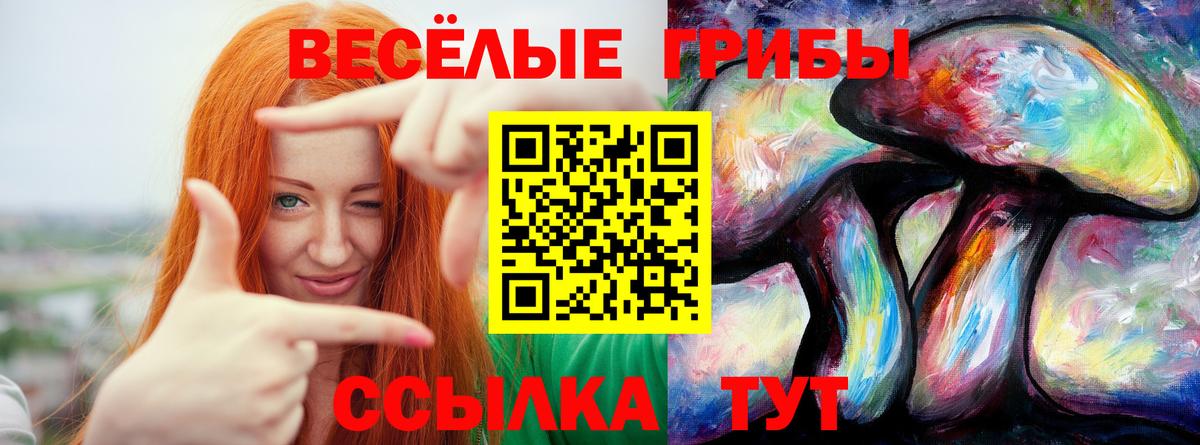 Галлюциногенные грибы MAGIC MUSHROOMS  Вход с VPN  Мценск 