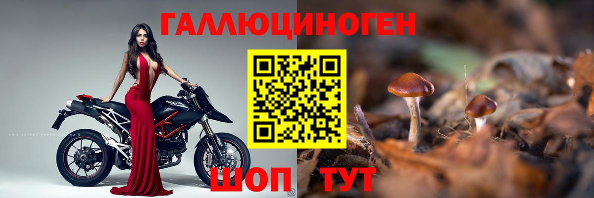 Псилоцибиновые грибы Cubensis Мценск